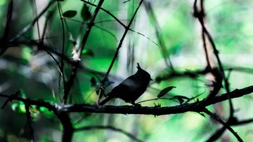 _DSC4644