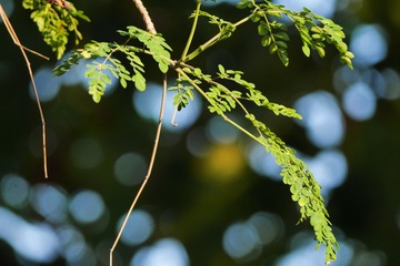 A79EB06F-37E9-4D98-A7EF-CA0F95DF6F7A/L0/001