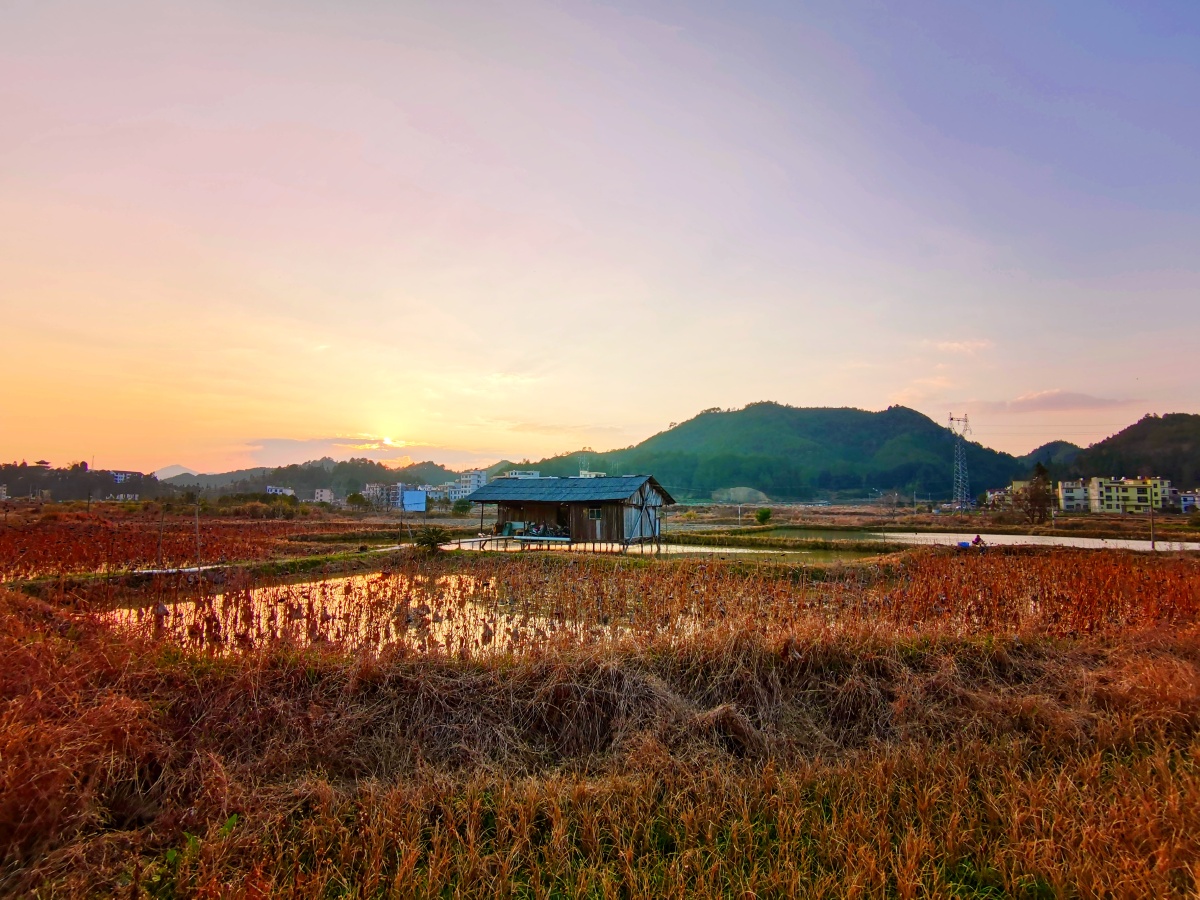 生活不止眼前的苟且还有诗和远方的田野