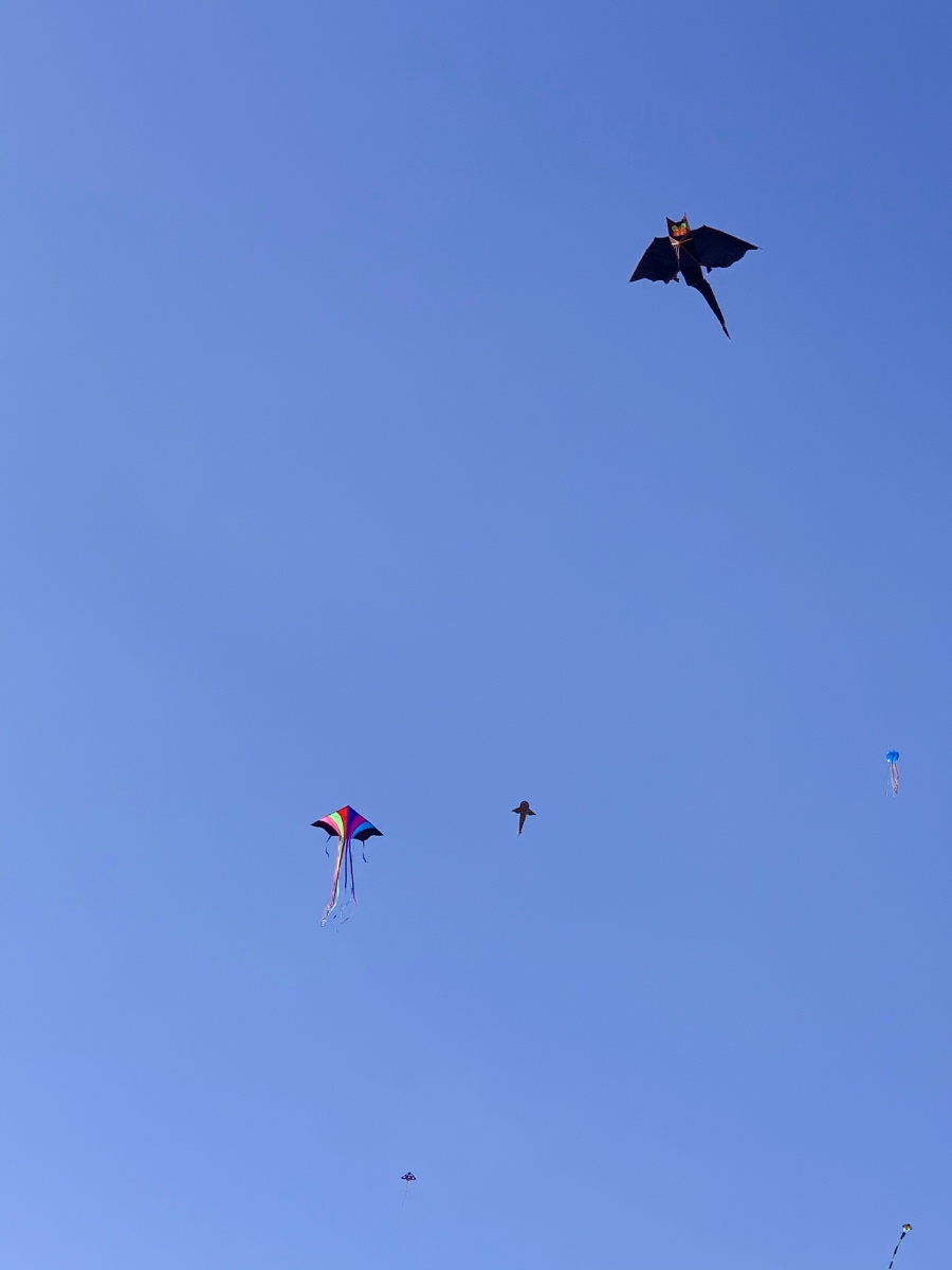 春风吹起来的时候每年当你抬头望向天空看到这随风飘动的风筝你就会