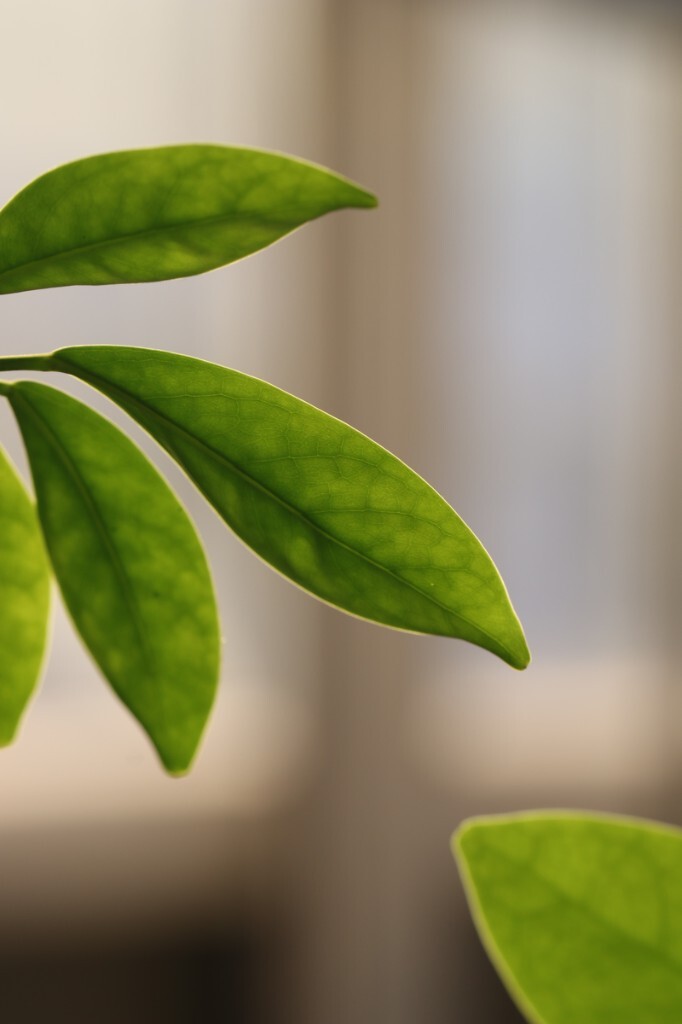 原创，拒绝后期制作。