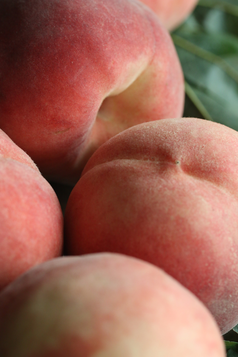 水蜜桃之久保桃