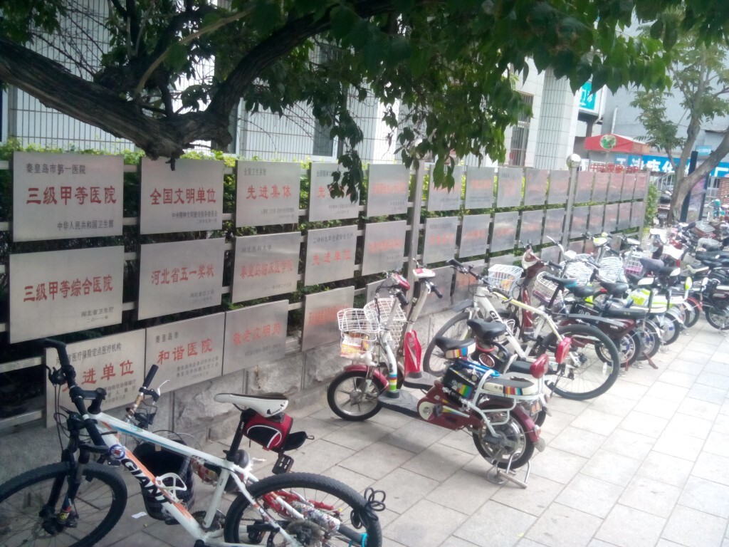 之前从没注意过，今天又去做核磁，才第一次明白了费用贵人还多的理由，数了下43块牌子啊，我简直被惊呆了，做个核磁从9点多到那里排队挂号到交完费已是11点半了，而且还不是马上就能做，还要明早八点先到核磁科预约，具体什么时间做还待定。上一次就是排到了晚上十点才做完。是病人太多了？还是有没有必要都被要求去做核磁？答案不得而知。原创，拒绝后期制作。