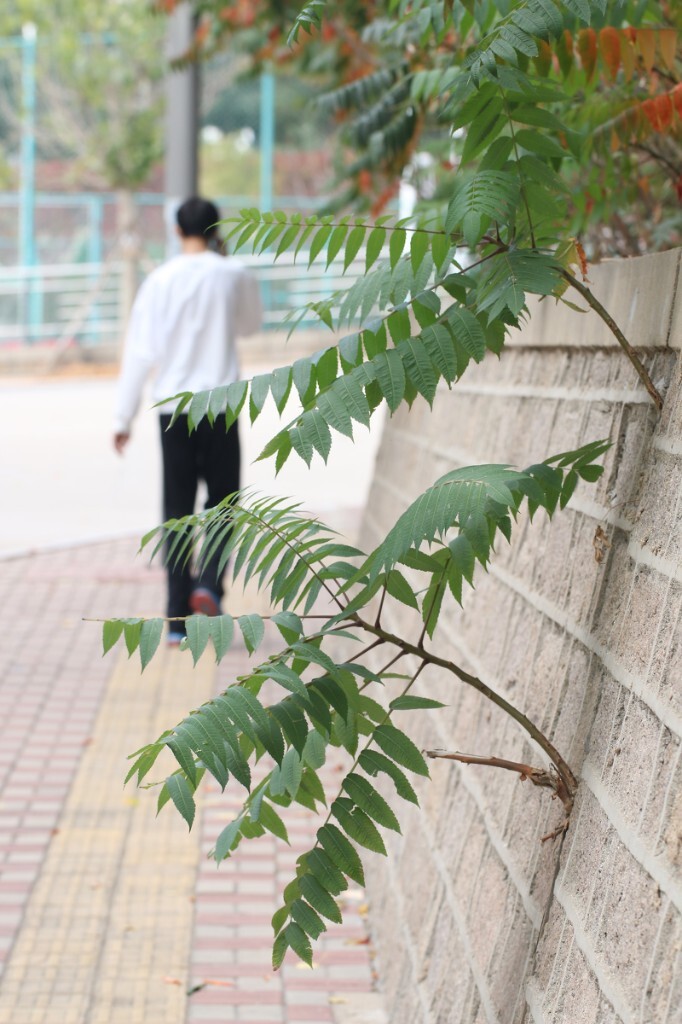 原创，拒绝后期制作。