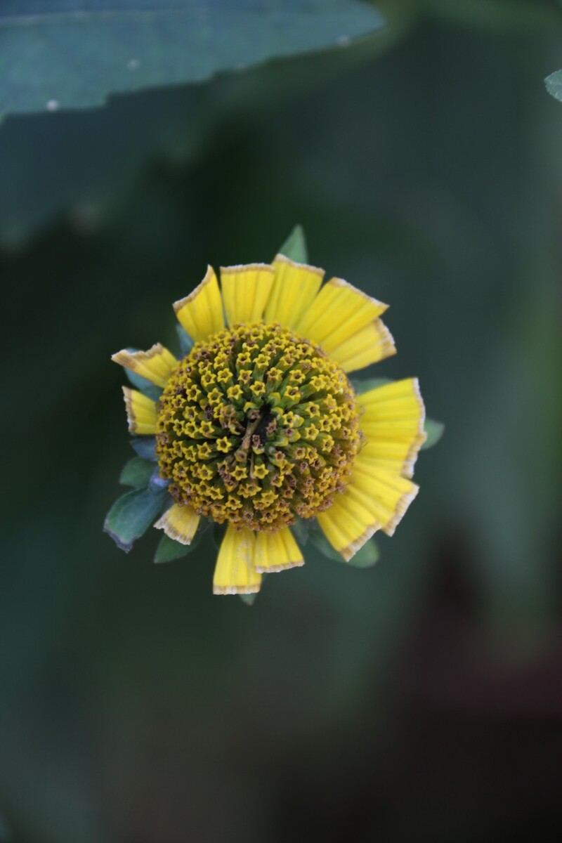 原创，拒绝后期制作。大自然即使残缺都有一种美在。