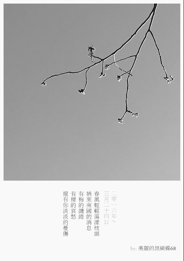 春風輕輕蕩漾枝頭<br />
捎來南國的消息<br />
有梅的繾綣<br />
有櫻的哀愁<br />
還有你淡淡的憂傷