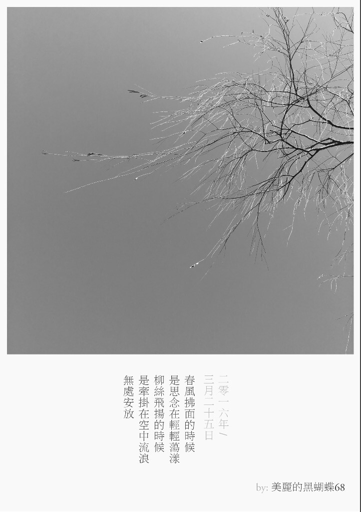 春風拂面的時候<br />
是思念在輕輕蕩漾<br />
柳絲飛揚的時候<br />
是牽掛在空中流浪<br />
無處安放