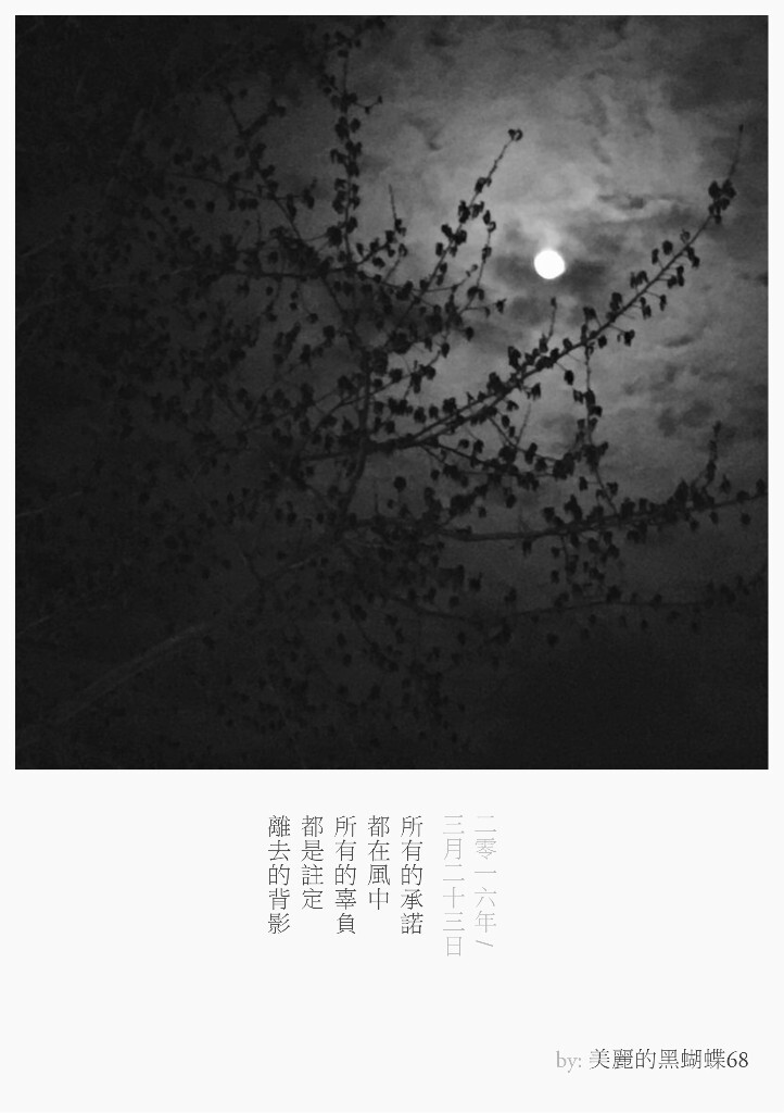 所有的承諾<br />
都在風中<br />
所有的辜負<br />
都是註定<br />
離去的背影