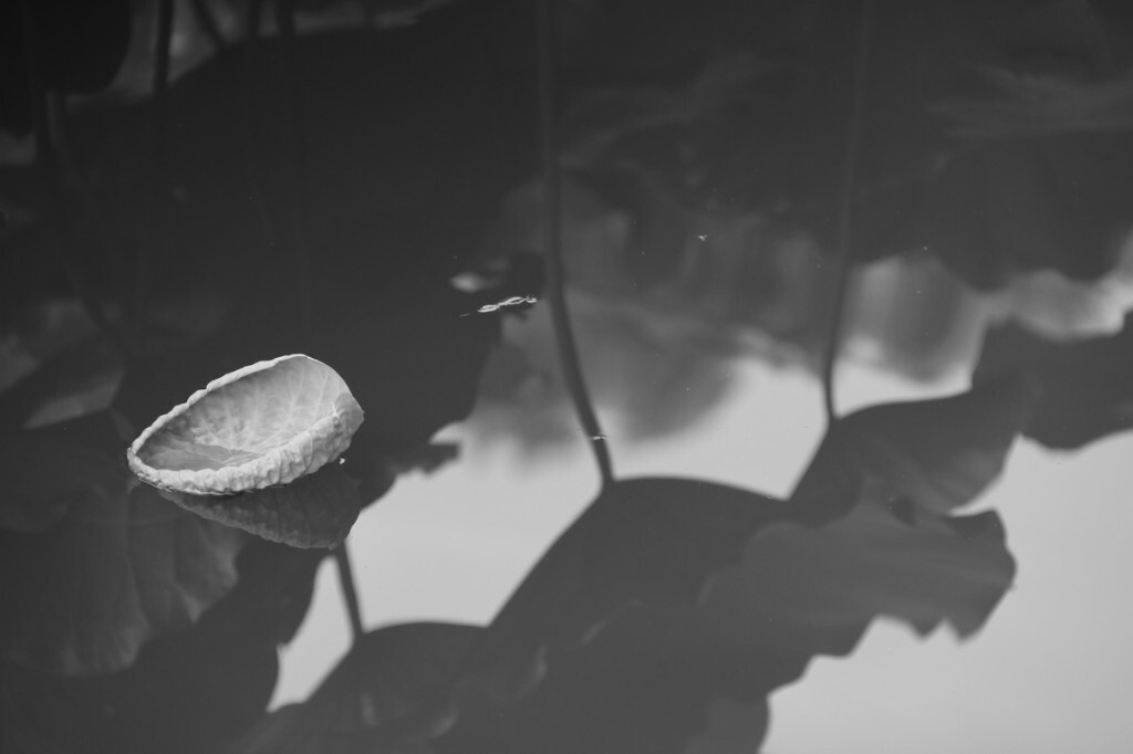 原创，拒绝后期制作。
