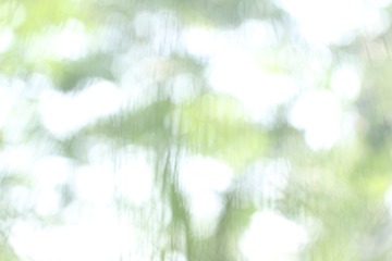 印象•骄阳下的芳草地