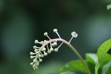 孤独（二）