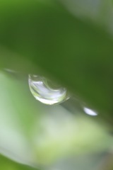 印象•露珠