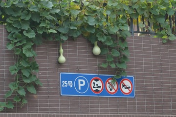 停车场