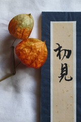 人生若只如初见（二）