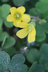 今日秋分（补发）