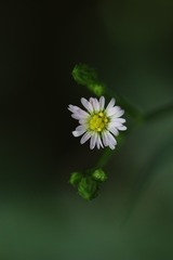 给点阳光就灿烂（二）