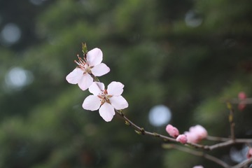 我们俩（二十九）