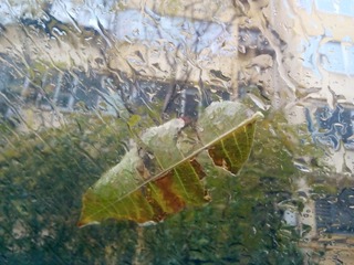 一场秋雨