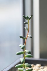 今日立冬