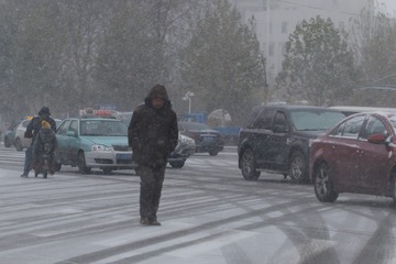 局部有中雪