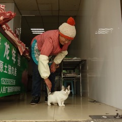 店主和她的猫咪