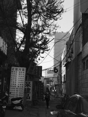 一座城池的局部--高楼背后