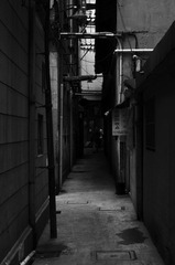 DSC_1476.jpg
