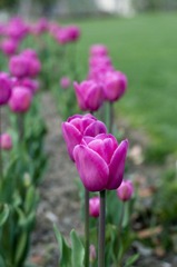 DSC_1356.jpg