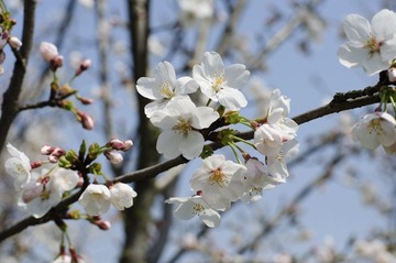 DSC_1213.jpg