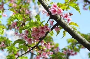 DSC_1301.jpg