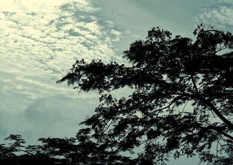 _DSC8453