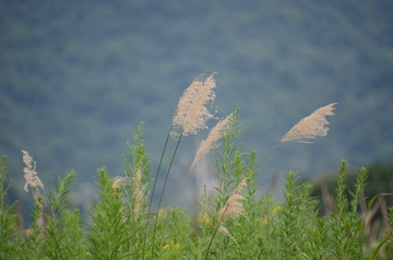 C6910D13-FD93-4960-9881-EEBC1D2A0162/L0/001