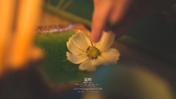  00020