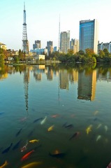 DSC_0162.jpg