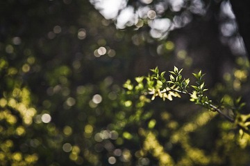IMG_6155.jpg