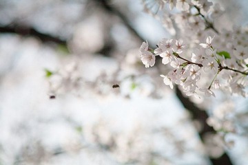 IMG_6163.jpg