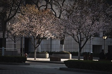 IMG_6229.jpg