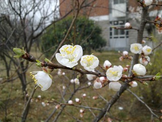 201303121521