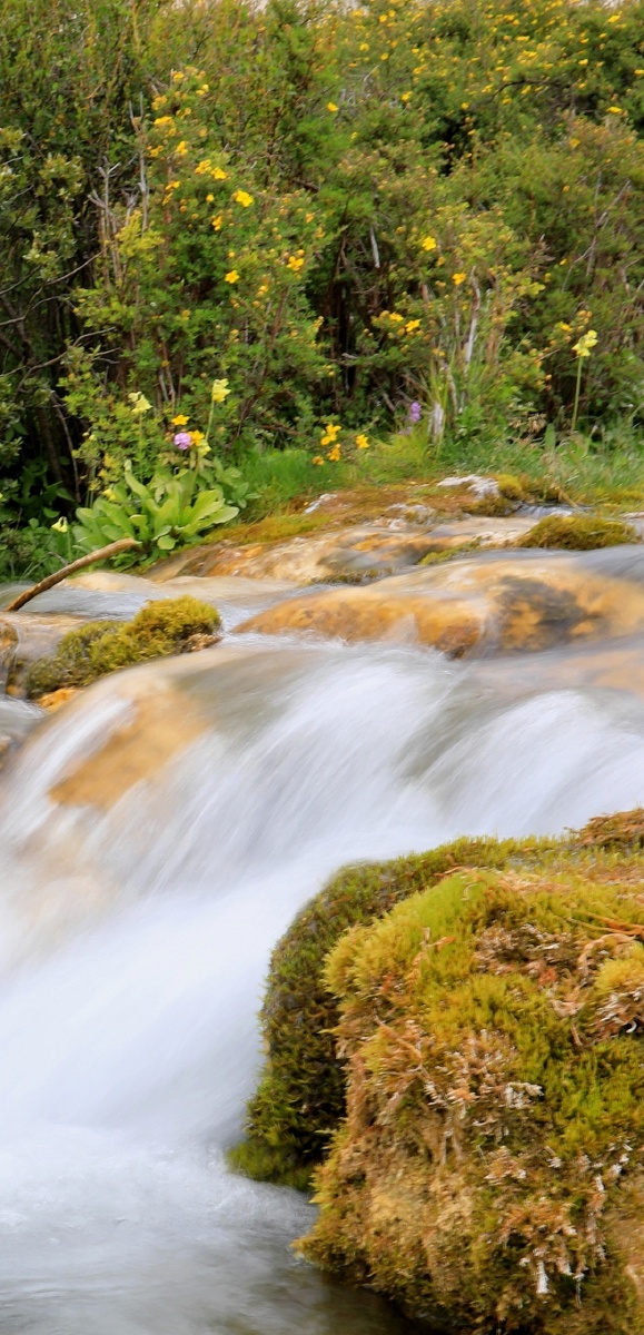 走过的路看过的景美哉乐哉