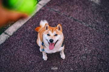 1106819