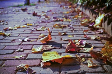 DSC_0014.jpg