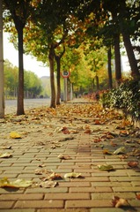 DSC_0016-2.jpg