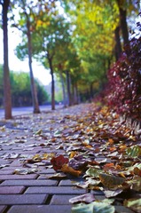 DSC_0018.jpg