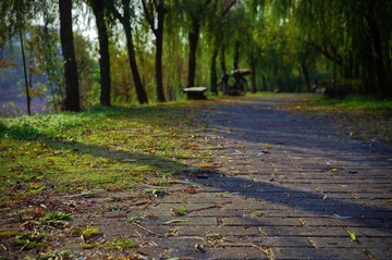 DSC_0021.jpg