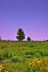 DSC_0013.jpg