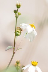 P1170118