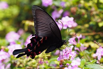 P3230324