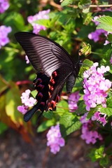 P3230353