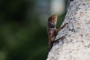 P5032304