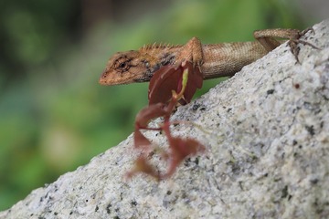 P7060068